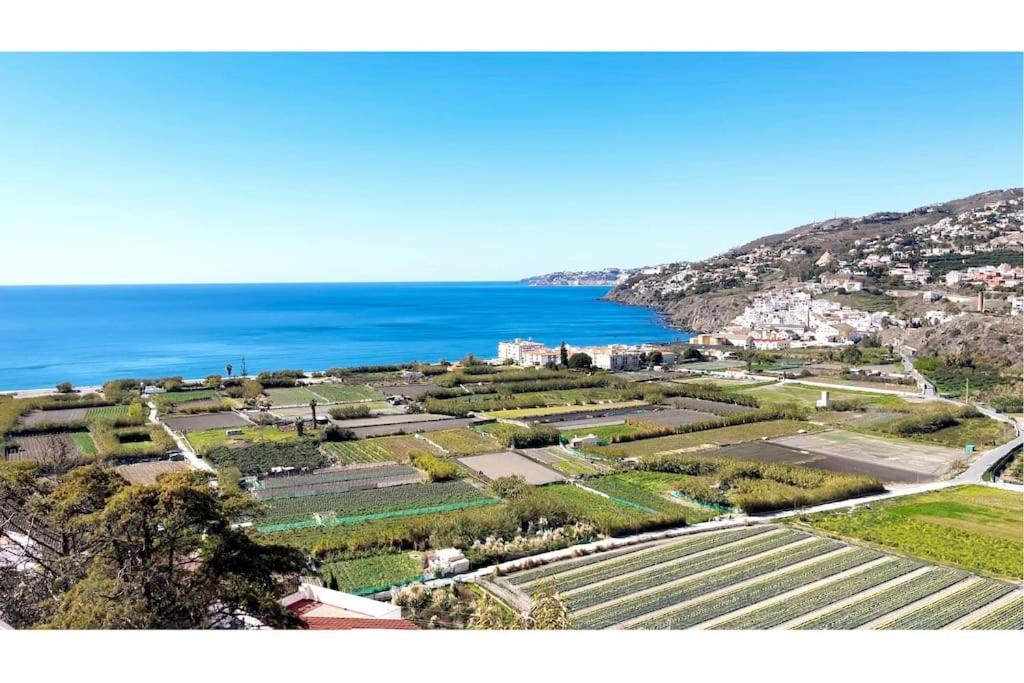 Encantadora Casa Andaluza ซาโลเบรญา ภายนอก รูปภาพ